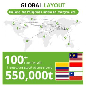 ทรายแมวแบบถ่านกัมมันต์มีฝุ่นต่ำแบบปรับแต่งได้ - Product Image 6