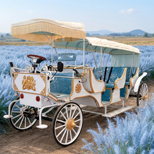Charrette de tourisme, Calèches à chevaux à vendre, Calèche électrique de mariage type citrouille, Transport spécial, Chariot à chevaux, Calèche électrique - Product Image 1