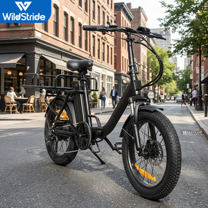 Bicicleta Eléctrica Plegable de 20 Pulgadas con Llantas Gruesas, 500W, 48V, Frenos de Disco, para Ciudad, Modelo EB10, con Motor Trasero sin Escobillas de 500W - Product Image 1