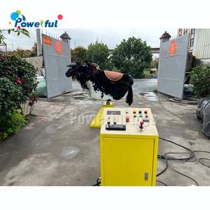 Juegos <span class=keywords><strong>de</strong></span> Carnaval Rodeo <span class=keywords><strong>Toro</strong></span> Parque <span class=keywords><strong>de</strong></span> atracciones Máquinas <span class=keywords><strong>de</strong></span> equitación <span class=keywords><strong>Toro</strong></span> mecánico <span class=keywords><strong>Precio</strong></span> <span class=keywords><strong>de</strong></span> <span class=keywords><strong>alquiler</strong></span> - Product Image 5