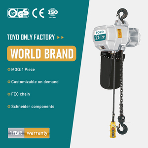 Offre Spéciale Japon Toyo Palan à chaîne 150Kg 500 Kgs sur roues pour grue - Product Image 6