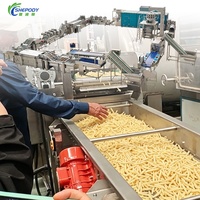 Shepody 100kg/u 200kg/u 300kg/u 500kg/u 1000kg/u Automatische productielijn voor verse aardappelchips en diepvriesfrieten