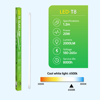 Lámpara LED T8 de 20W con Sensor de Microondas, 1200mm, Sin Parpadeo, Sensor de Movimiento por Radar, Reemplazo de Lámpara Fluorescente, 6500K
