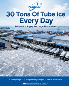 Máquina <span class=keywords><strong>de</strong></span> Hielo en Tubo Pecold <span class=keywords><strong>de</strong></span> 30 Toneladas para Centro <span class=keywords><strong>de</strong></span> Suministro <span class=keywords><strong>de</strong></span> Hielo para Mercado <span class=keywords><strong>de</strong></span> Pescado en Indonesia - Product Image 1