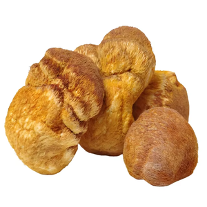 Mejor Precio en Extracto de Melena de León en Polvo, Extracto de <span class=keywords><strong>Hericium</strong></span> <span class=keywords><strong>Erinaceus</strong></span>, Péptido de <span class=keywords><strong>Hericium</strong></span> <span class=keywords><strong>Erinaceus</strong></span> 98% - Product Image 4