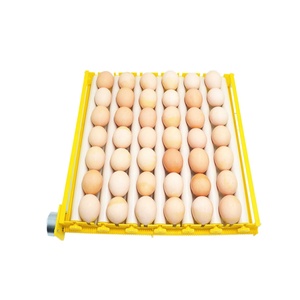 Mini Tray Automatic Hatching <b>Egg</b> <b>Incubator</b> with 110V/220V Compatibility 1-Year Warranty for Birds & Reptiles - Product Image 5