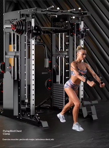 Machine Smith NJ, Équipement d'entraînement complet pour le corps, Équipement de fitness, Équipement de gym multifonctionnel pour la maison, Rameur - Product Image 4