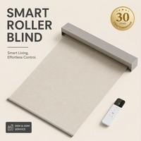 Stores à enroulement électriques personnalisés avec commande intelligente, fabriqués pour les marques mondiales, les détaillants et les développeurs