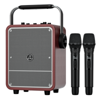 Système de karaoké multifonctionnel 80W, microphone sans fil, amplificateur vocal haut de gamme/système sonore pour instruments