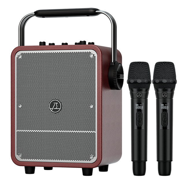 80W Multifunctional Karaoke System, Wireless Microphone, High-End Voice Amplifier/Instrument Sound System