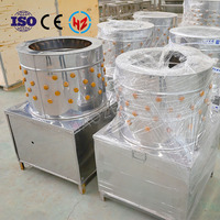 Machine à plumer les volailles TM-80 en acier inoxydable motorisée, mini plumeuse pour poulet, canard, oie, 220V, capacité de 25 BPM, haute efficacité