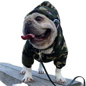 เสื้อโค้ทสุนัขพันธุ์ชเนาเซอร์แบบทันสมัย ผลิตจากโพลีเอสเตอร์บุใยสังเคราะห์ เป็นมิตรต่อสิ่งแวดล้อม ขายส่งจากโรงงาน เหมาะสำหรับฤดูใบไม้ผลิ ฤดูร้อน ฤดูใบไม้ร่วง และฤดูหนาว - Product Image 2