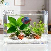 Boîte de présentation en acrylique transparente, mini terrarium de bureau, vitrine d'élevage pour reptiles et poissons, décoration de table