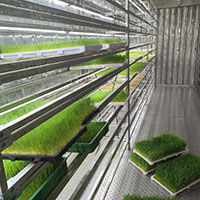 Système hydroponique intelligent et écologique Seedafarm pour la production de fourrage, équipement contrôlé par PLC, garantie 1 an, conteneur de 7000 kg