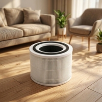 Filtre de rechange HEPA H13 à charbon actif haute efficacité pour purificateur d'air Core 300 300S, garantie 1 an pour usage domestique