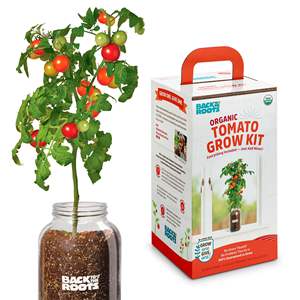 Raíces traseras recubiertas de <span class=keywords><strong>lavanda</strong></span>, Kit de <span class=keywords><strong>maceta</strong></span> de alféizar de ventana <span class=keywords><strong>grande</strong></span> para interior/exterior, decoración de cocina Digital, soporte de suelo de jardinería para el hogar - Product Image 2