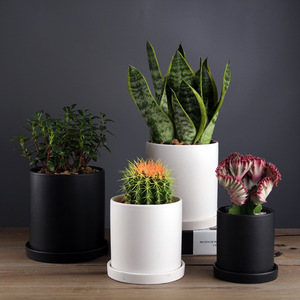 Pot de fleurs en céramique nordique moderne, jardinières élégantes <span class=keywords><strong>pour</strong></span> l'<span class=keywords><strong>extérieur</strong></span> et l'intérieur, <span class=keywords><strong>pour</strong></span> jardins contemporains et décoration d'intérieur élégante - Product Image 5