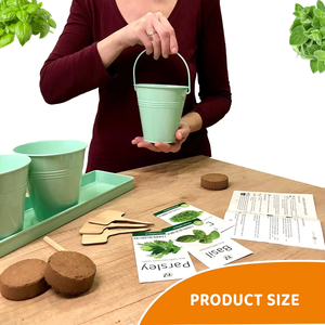 Modern Home Kitchen Starter Kit with Non-GMO <strong>Basil</strong> Herb Indoor/Outdoor Food Medicinal Tea Iron Plastic Fresh Food <strong>Container</strong> - Product Image 5