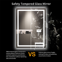 Miroir de salle de bain LED 20x28 avec éclairage, anti-buée, à intensité réglable, rétroéclairé + éclairage frontal, miroir de vanité lumineux pour mur