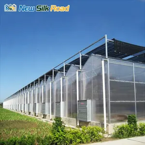 Agro için oluklu çatı paneli ticari seralar polikarbonat sera polikarbonat alüminyum çerçeve pc