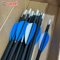 Flèches d'entraînement pour arc recurve, pratique, adultes, durables, en fibre de verre, 6 mm, lot de 10, plumes en plastique Yulong, personnalisables, tir à l'arc