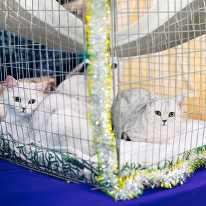 Профессиональная складная подвесная лежанка-гамак для кошек, съемная, моющаяся, дорожная, в полоску, плюшевая, для домашних кошек - Product Image 3