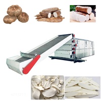 Sécheur à bande continue en acier inoxydable 100-2000 kg/h pour oignons, gingembre et autres aliments, équipement de transformation alimentaire, chauffage au gaz, pompe PLC