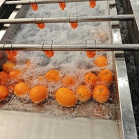 Baobab Industriële Fruit-En Groenteverwerkingsmachines Nieuwe Staat Appelsorteermachine Voor Fruitverwerkingsbedrijf