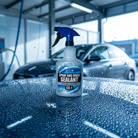 CS-1 Scellant de peinture automobile, Composé de silane avancé, Dureté 3H, Spray de protection au silane, Produit de detailing, Pour grossistes en produits d'entretien automobile, 500ml, à base d'eau