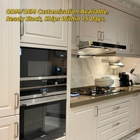 Armoires de cuisine pour appartements hôteliers, vente en gros, OEM, ODM, contreplaqué résistant à l'humidité, panneaux ignifuges certifiés CE