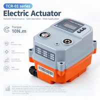 Actionneur linéaire électrique mini Radiant TCR-01N 12V DC pour vanne à boisseau sphérique, traitement de l'eau, IP67, fournisseur OEM/ODM