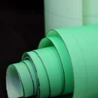 Nuevo filtro tejido de poliéster para fabricación de papel y tratamiento de lodos Deshidratación de telas y cinturones Condición de material PE Nuevo