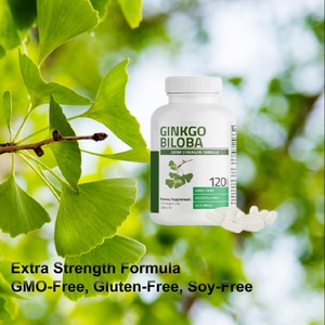 Complément alimentaire pour la santé du cerveau, complément à base de plantes Ginkgo Biloba pour la fonction cérébrale et la mémoire, 120 capsules végétariennes de feuilles de Ginkgo - Product Image 5