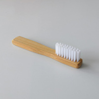 Kit de brosse à dents de voyage miniature en bambou avec brosses à dents à poils doux