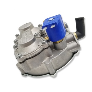 Regolatore di Pressione del Gas Combustibile/<span class=keywords><strong>Riduttore</strong></span> CNG/LPG - Product Image 5