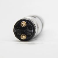 Inyector de Combustible Common Rail de Alto Rendimiento 0445120055 0 445 120 055