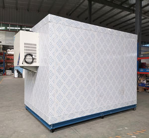 <span class=keywords><strong>ตู้</strong></span>แช่เย็นตู้แช่เย็น20ฟุตพร้อมประตูห้องทำความเย็นมือ<span class=keywords><strong>สอง</strong></span> - Product Image 3