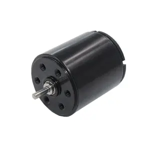 6v 12v fırçalanmış çekirdeksiz motor değiştirin Maxon dc yüksek hızlı motor için özelleştirilmiş robotlar santrifüj perdeler pompa aracı