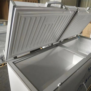 Высококачественная морозильная камера из Китая, поставщик холодильного оборудования Horizonctal, морозильная камера - Product Image 5
