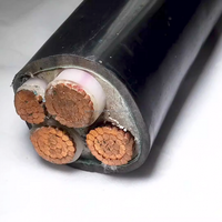 Cable de alimentación de baja tensión de cobre PVC HENAN GUOWANG VAV 600V 1000V 3X35MM 1X16MM 3X95MM 1X50MM2, retardante de llama IEC para estaciones de energía