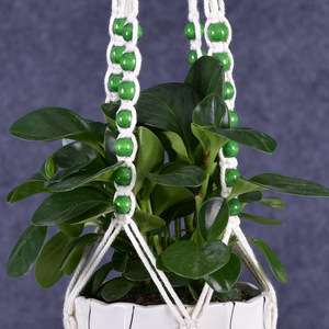 <span class=keywords><strong>Pot</strong></span> <span class=keywords><strong>de</strong></span> <span class=keywords><strong>fleurs</strong></span> suspendu, support <span class=keywords><strong>de</strong></span> plante en macramé, support <span class=keywords><strong>de</strong></span> plante mural, panier suspendu, panier <span class=keywords><strong>de</strong></span> <span class=keywords><strong>fleurs</strong></span>, décorations <span class=keywords><strong>de</strong></span> balcon - Product Image 6