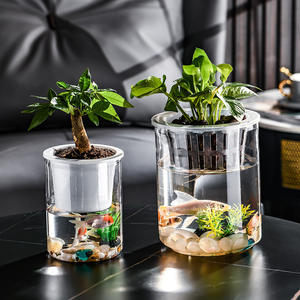 Bouteille hydroponique créative Plantes <span class=keywords><strong>Vase</strong></span> transparent Pot de fleur vert Co-Culture Réservoir Arrangement <span class=keywords><strong>aquatique</strong></span> Navire - Product Image 3