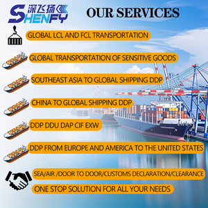 LCL DDP, Agente de Logística Económico, Servicio de Transporte de Carga Sobredimensionada, Agente de Logística de China a México - Product Image 2