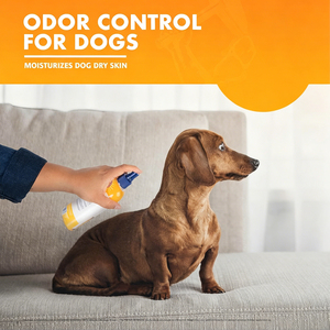 Désodorisant <span class=keywords><strong>pour</strong></span> animaux de compagnie sous marque privée – Spray super désodorisant <span class=keywords><strong>pour</strong></span> chiens et chiots, rafraîchit le pelage des chiens et des chats, <span class=keywords><strong>parfum</strong></span> naturel - Product Image 2