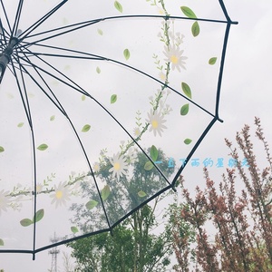 <span class=keywords><strong>Parapluie</strong></span> droit <span class=keywords><strong>pas</strong></span> <span class=keywords><strong>cher</strong></span> pour femmes avec fleur transparente imprimée Logo personnalisé poignée ABS transparente matériau POE pour les jours de pluie - Product Image 5