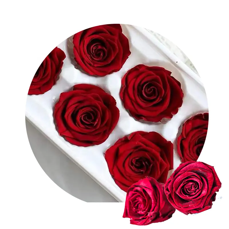 Высококачественные консервированные цветы 5-6 см, розы вечности, консервированные подарки, всегда консервированные розы