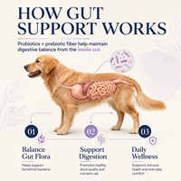 Friandises à mâcher molles probiotiques pour la santé intestinale des chiens, étiquette personnalisée, avec huile de citrouille et de saumon, inuline pour l'équilibre digestif