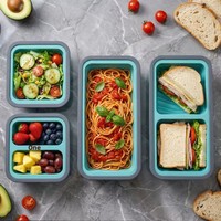 Lebensmittelechte Zusammenklappbare Silikon-Gefrierfach-Einsätze mit Deckel, Unterteilter Mahlzeiten-Vorbereitungsbehälter, Mikrowellen-Lunchbox, Backform