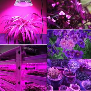 Lampadina LED per Coltivazione Antela 3.5W 200LM Spettro Completo Dimmerabile Angolo di Illuminazione 20 Gradi Durata 25000 Ore per Piante da Interno E27 - Product Image 1