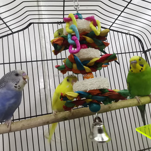 Vendita calda colorato trecce di mais di seta melone pappagallo giocattoli da masticare catena uccello campana giocattoli per animali domestici - Product Image 4